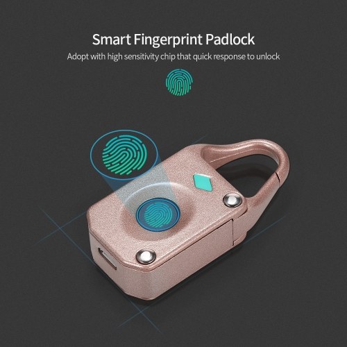 

Smart Fingerprint Padlock Mini Smart Lock 10 Fingerprint Recording Security Padlock Rechargeable Luggage Lock