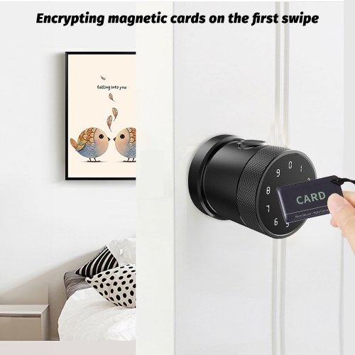 5-in-1 Unlock Smart Door Lock Keyless Entry Biometric Door Knob with Keypad BT Tuya App Remote Control Password Fingerprint Door Lock with IC Card Mechanical Key  for Home Apartment Hotel Office 