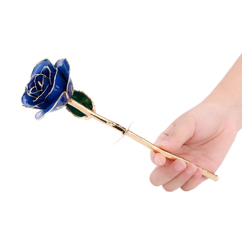 24K Gold Dipped Trim Real Rose Long Stem