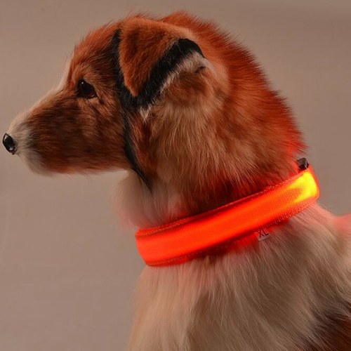 

Nylon Pet LED Collar Dog and Cat Night Safety Walking Glow Collars Pets Luminous Fluorescent Collar