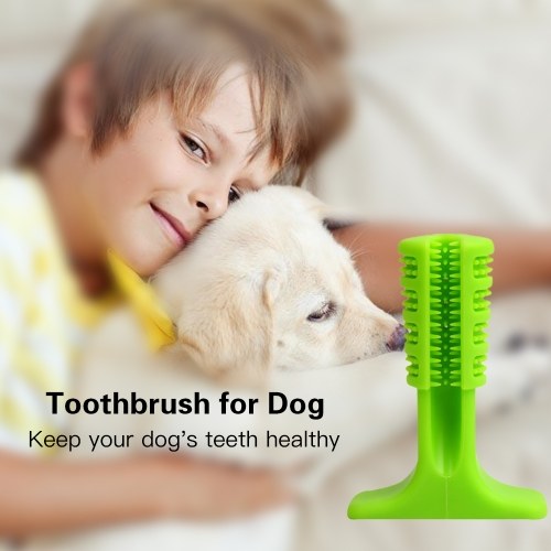 

Dropship Dog Toothbrush Toy