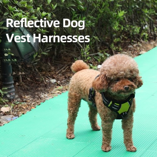 

Dog Vest Harnesses Reflective Service Dog Harness Adjustable Service Dog Vest for Outdoor Walking L