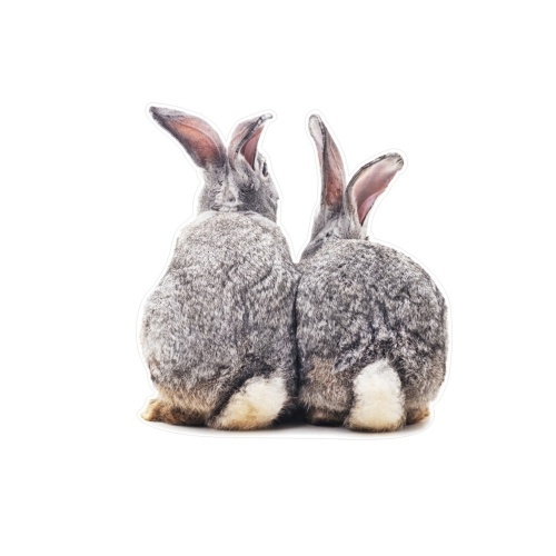 1PCS Two Bunnies Sticker