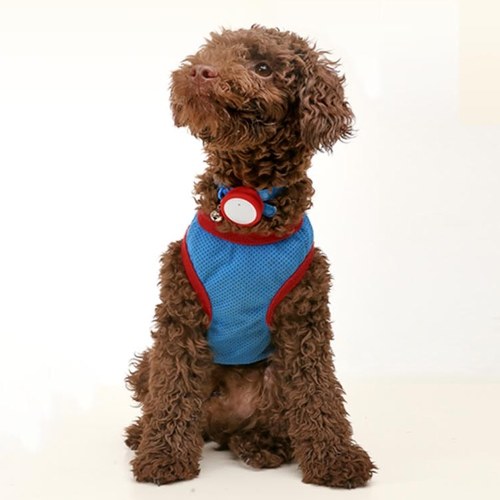 

Xiaomi Smart Dog Tag Sports Pendant Waterproof Sleep Step Counting