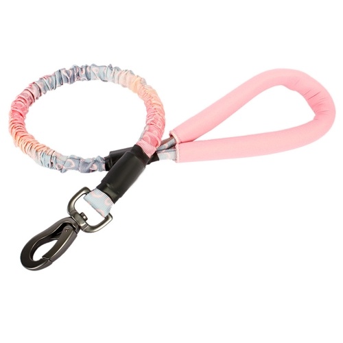 

Dog Leash Dog Training Leash