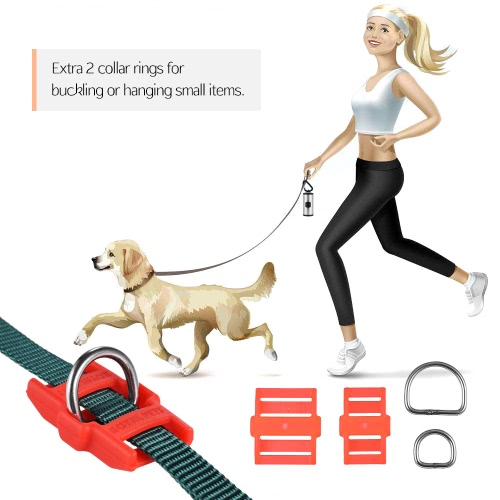 

Dog Collar Leash Connector Automatic Magnetic Magic Latch with Fastener Stainless Steel