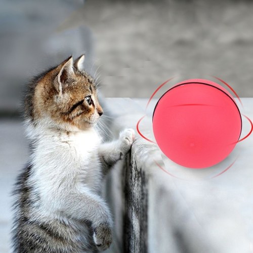 

Cat Toy Rolling Ball LED Red Light Motion Activated Ball