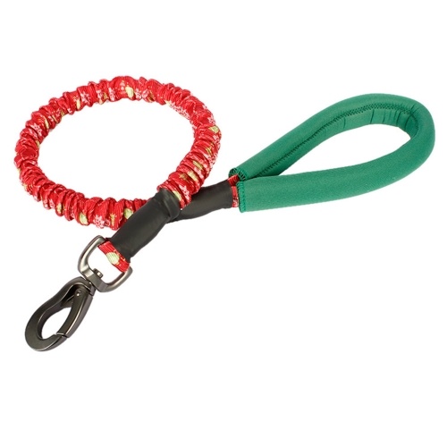 

Dog Leash Dog Training Leash