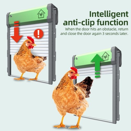 Automatic Chicken Coop Door Solar Powered Chicken Door with Timer / Light Sensor / Remote Control / Manual Mode Aluminum Alloy 4 Modes Automatic Chicken Door with Anti-Pinch Design 