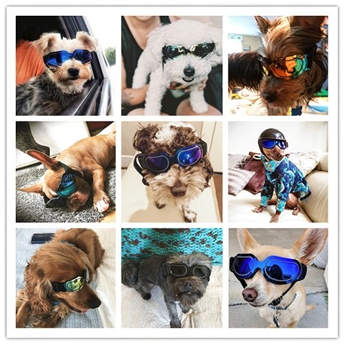 

Pet Солнцезащитные Очки Pet Очки Водонепроницаемый Ветрозащитный Ослепление Линзы Очки Защитные Очки для Собак Щенок
