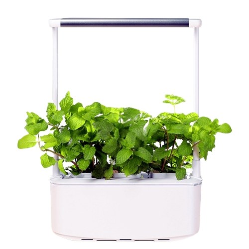 

Hydroponics Growing System with LED Grow Light