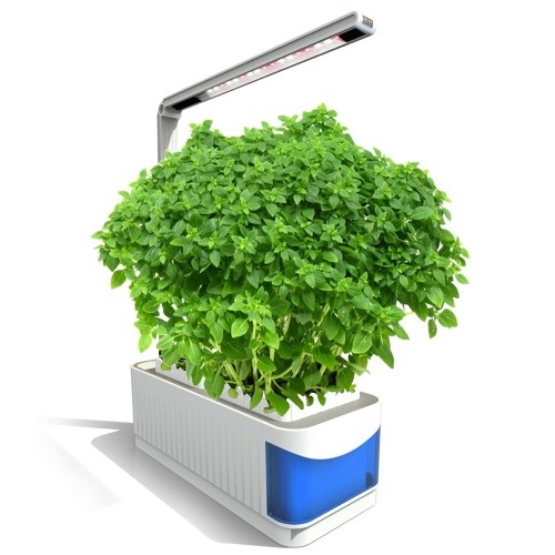 Multifunctional Smart Indoor Herb Gardening Planter Kit huismerk kopen in de aanbieding Multifunctional Smart Indoor Herb Gardening Planter Kit huismerk kopen in de aanbieding