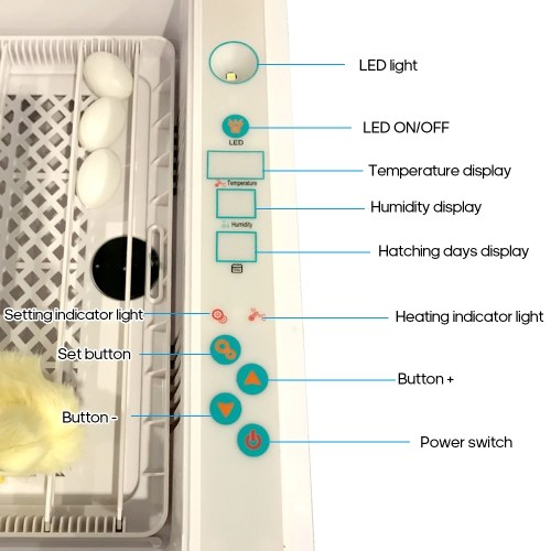

Digital Egg Incubator Hold 36 Eggs Automatic Poultry Hatcher for Chickens Ducks Birds Quail Eggs Automatic Egg Turning