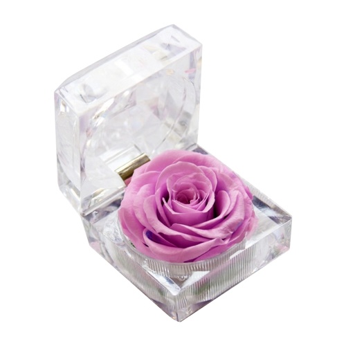 

Preserved Real Rose Flower in Clear Box Eternal Rose Scented Forever Rose Flower