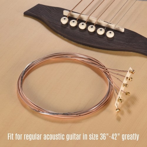 

Alice AW436-L Professional Guitar Strings Set