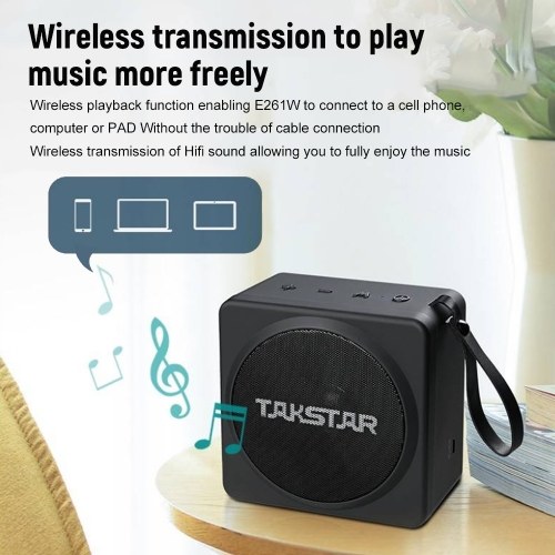 TAKSTAR Portable Wireless Voice Amplifier 
