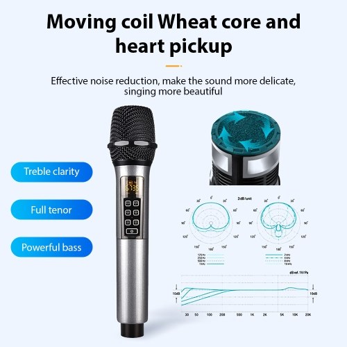 UHF Dynamic Wireless Microphone System D300 - 1 Receiver with 2 Microphone 