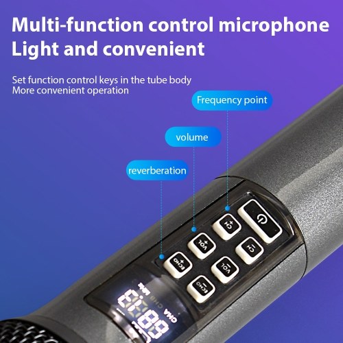 UHF Dynamic Wireless Microphone System D300 - 1 Receiver with 2 Microphone 