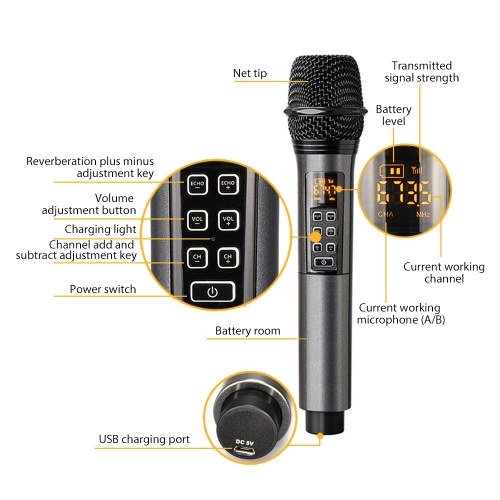 UHF Dynamic Wireless Microphone System D300 - 1 Receiver with 2 Microphone 