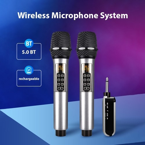 UHF Dynamic Wireless Microphone System D300 - 1 Receiver with 2 Microphone 