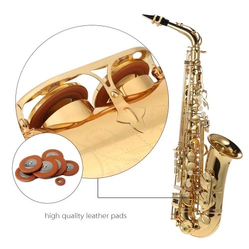 Elite Eb Alto Saxophone - Gold Lacquered E-Flat Brass Instrument with Full Accessory Kit