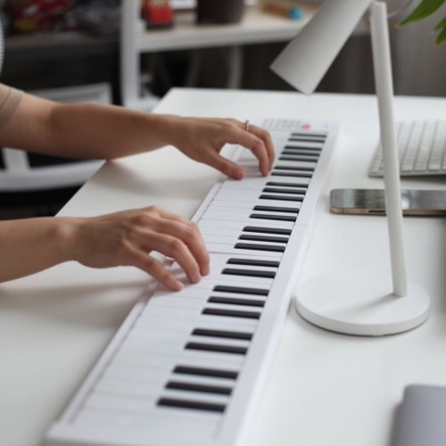 Bigfun BF-960 Foldable Electronic Piano - LED Display, Rechargeable, With Carrying Bag 