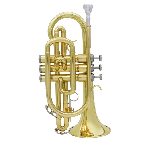 ammoon Professional Bb Flat Cornet Brass Instrument con guanti per valigie Spazzole in tessuto per pulizia