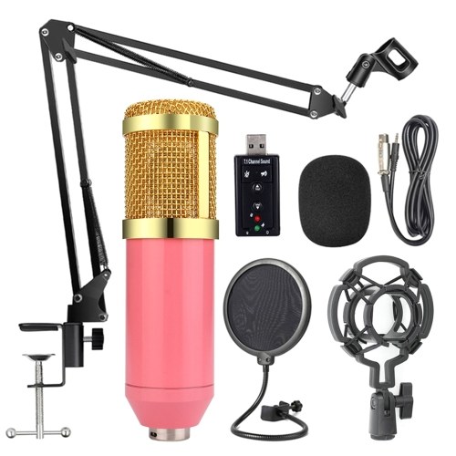 BM800 Professional Suspension Microphone Kit