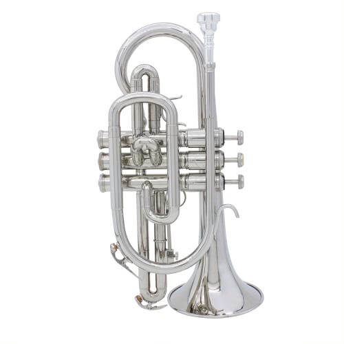 ammoon Professional Bb Flat Cornet Brass Instrument con guanti per valigie Spazzole in tessuto per pulizia
