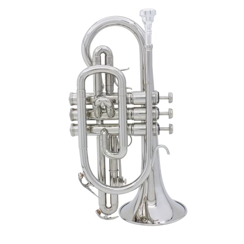 Ammoon Professionnel Bb Flat Cornet Brass Instrument avec des gants de cas de transport de nettoyage des brosses de tissu