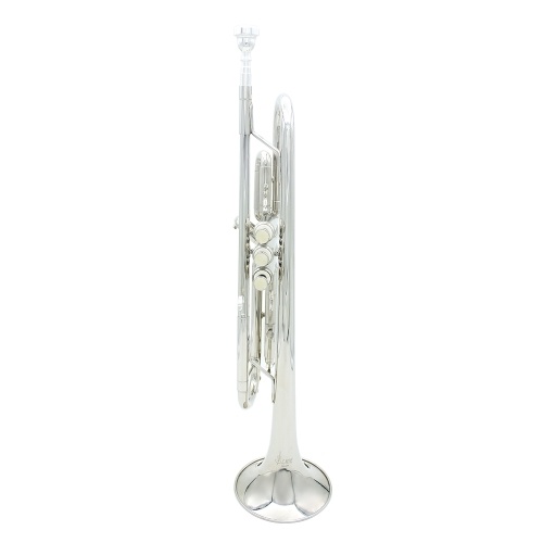 

Brass Trumpet Bb B Flat