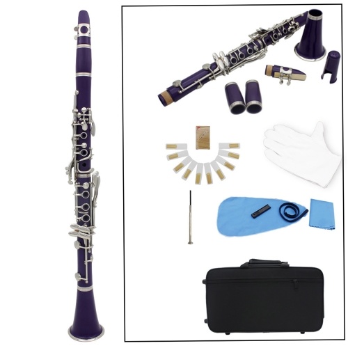 Clarinetto ABS 17 tasti bB Clarinetto binoculare soprano piatto