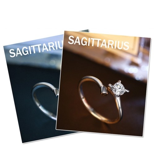 12 Constellations Exquisite Glistening Retro Lovers Ring Women Ancient Elegant Attractive Zinc Alloy Finger Ring
12 Constellations Exquisite Glistening Retro Lovers Ring Women Ancient Elegant Attractive Zinc Alloy Finger Ring