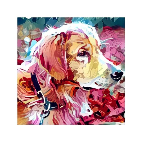 

DIY 5D Diamond Painting Kits