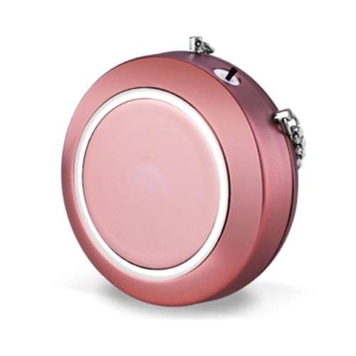 

Portable Low Noise Necklace Air Purifier Freshener Necklace Mini Negative Ion Generator