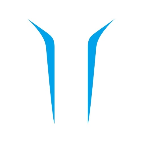 

2 PCS Car Hood Decal Sticker Auto Vinyl Film Long Stripe Decals DIY Sport Styling Stickers
