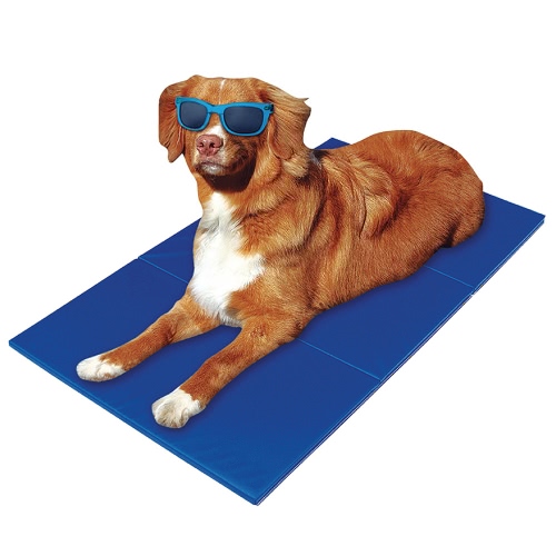 TIROL Haustier-Kühl-Gel-Matte-kühle Betten-Hundekatze-Sommer-Auflage-Bett (36 "x20")