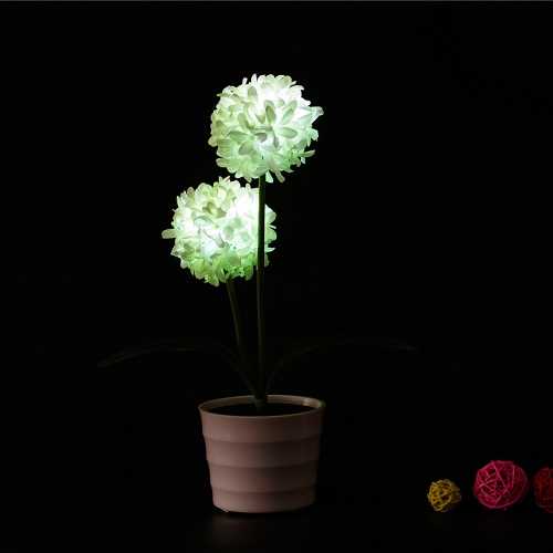 2 LEDs Solar Powered Allium Giganteum Flower LED Light Night