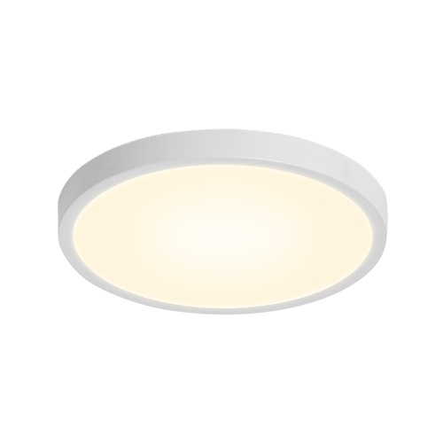 24W 2520lm LEDs Ceiling Light Flush Mounting Round Ceiling Lamp for Kitchen Bedroom Hallway (2800-3200K)