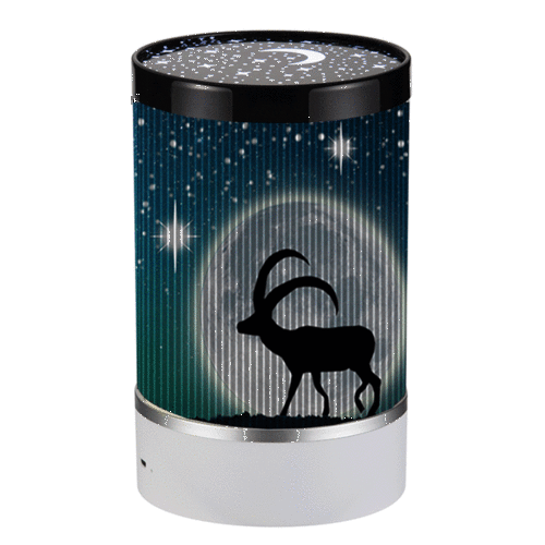 

USB Charge Animated Night Light Movable Pictures Cartoon Night Lamp Without String Bag
