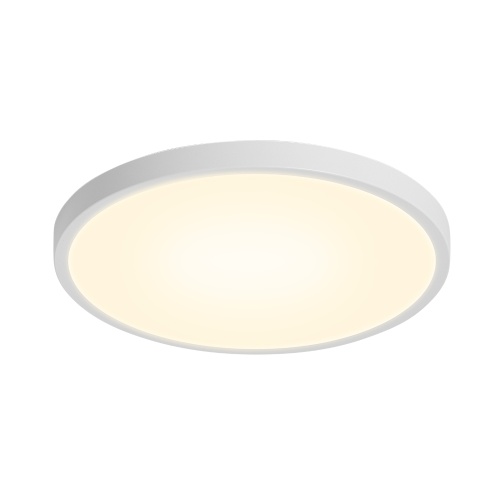 

LEDs Ceiling Light Flush Mounting 24W 2520lm Round Ceiling Lamp for Kitchen Bedroom Hallway (2800-3200K Warm Light