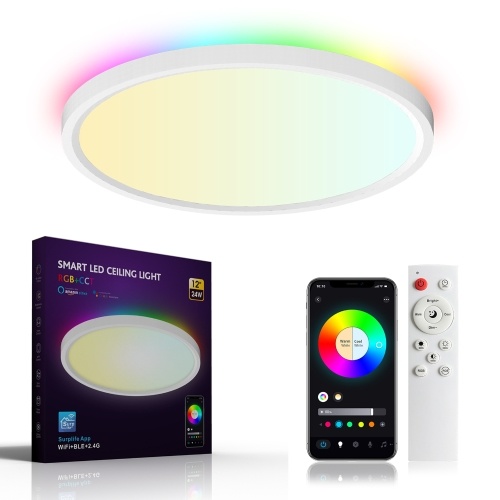 AC90-240V 24W LEDs RGB+CCT 12Inches Intelligent Ceiling Lighting with Controller