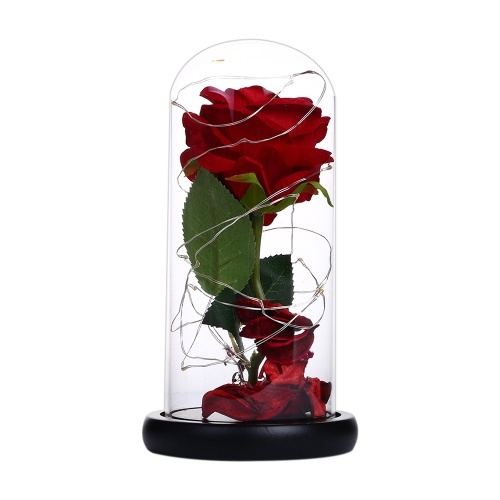 

Delicate Romatic Small Night Lamp