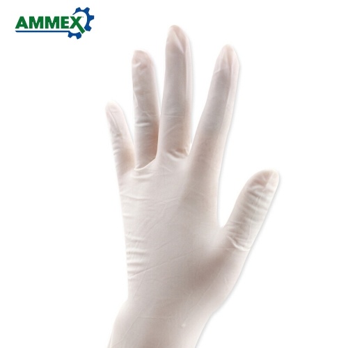 

100pcs/pack AMMEX Disposable Latex Gloves