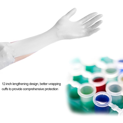 

AMMEX 100pcs Disposable Gloves