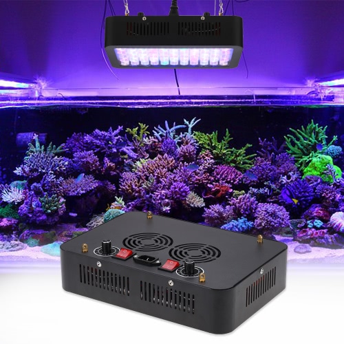 

165W 55 LEDs Aquarium Light Dimmable Full Spectrum for Reef Fish Coral Tank Freshwater Saltwater Lighting Blue and White