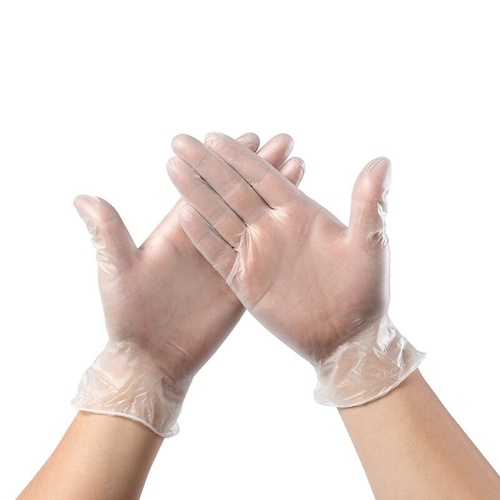 

Disposable PVC Gloves Single Use Transparent AMMEX Gloves Powder Free Latex Free