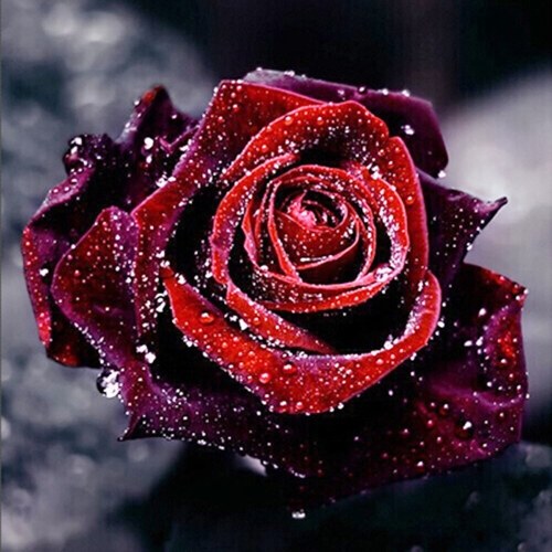 DIY 5D Diamond Painting Kit Rose Flower Pattern