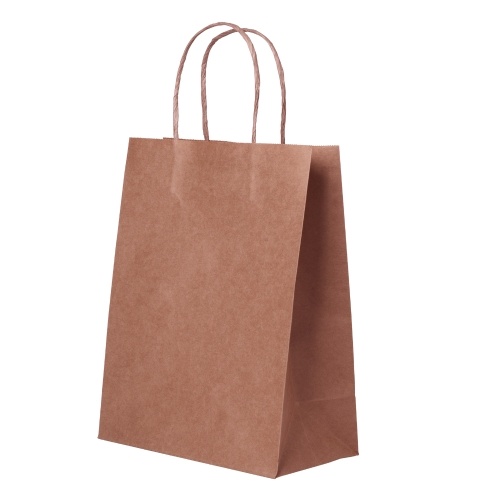 

Kraft Paper Bags with Handles for Birthday Gift Wedding Parties Shopping Boutique Bag Grocery Retail 10PCS 15x8x21cm/5.9x3.1x9.3in