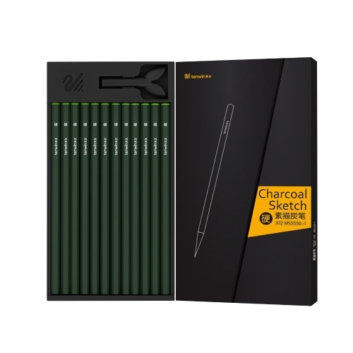 tenwin 12pcs Professional Charcoal Pencils Set